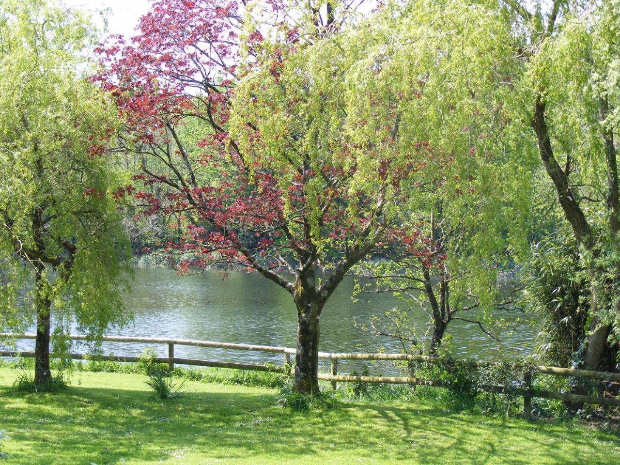 Innishannon House Hotel Εξωτερικό φωτογραφία